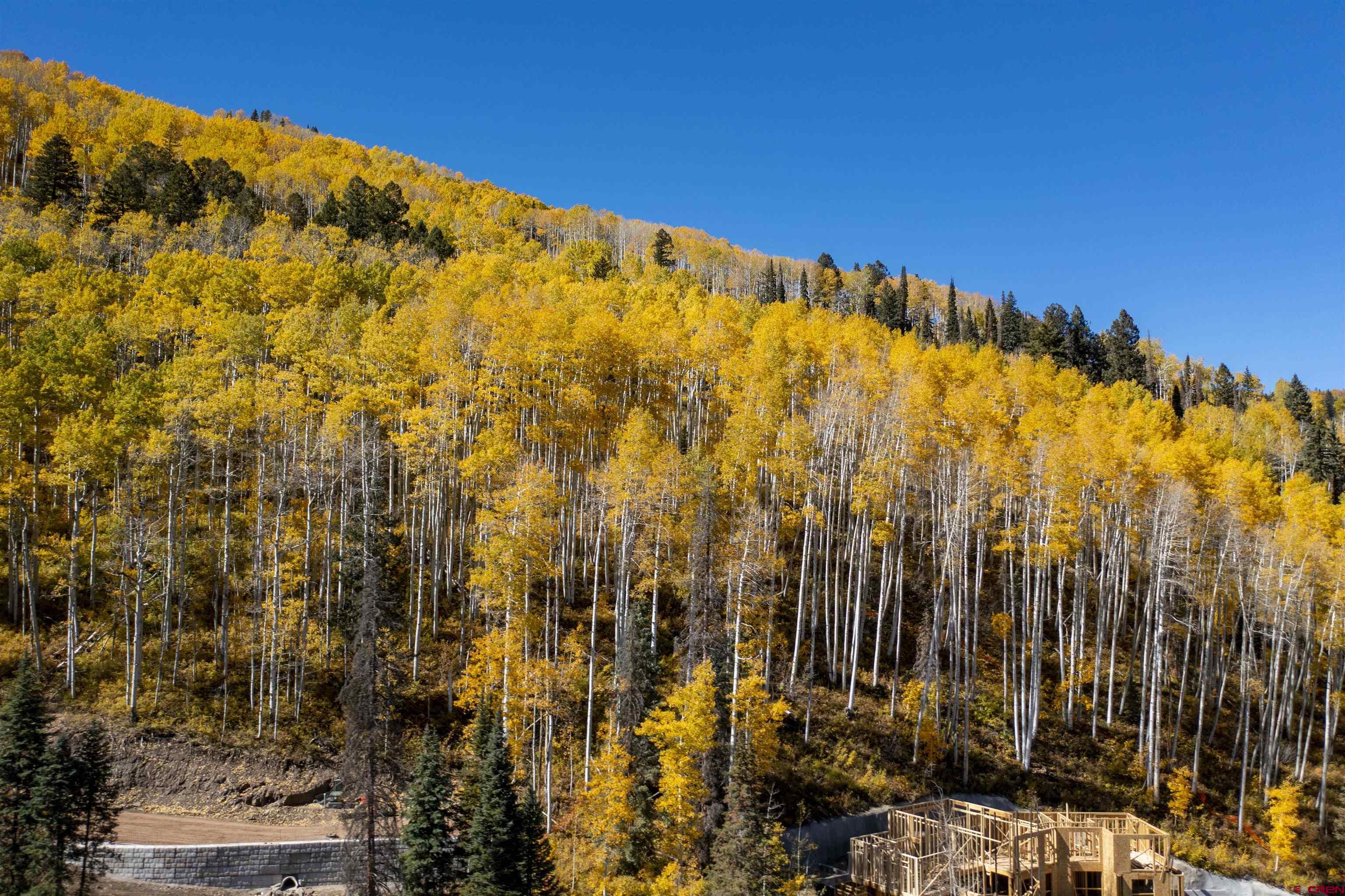 97 Catharsis Court Durango, CO 81301 - Photo 6 of 15