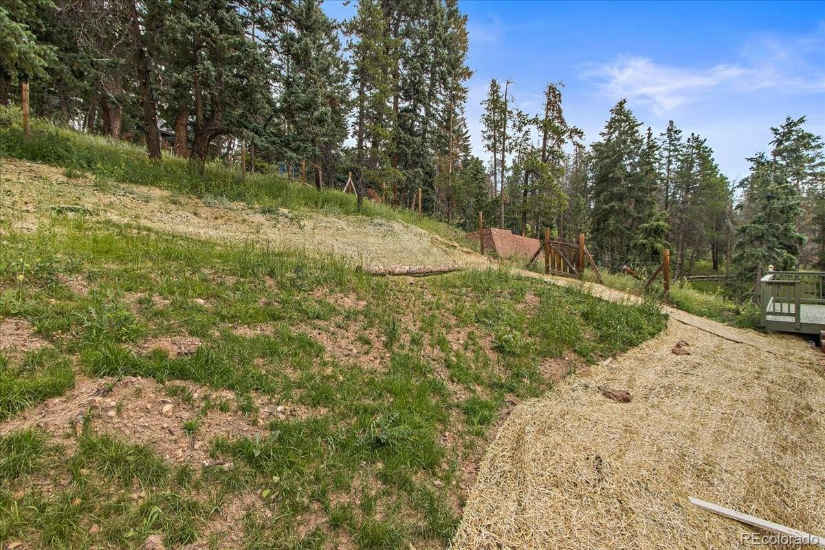 34577 Forest Estates Road Evergreen, CO 80439 - Photo 32 of 38 Gallery Image 32