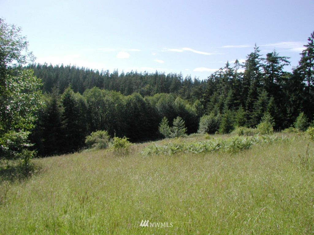 0 Edens Road Anacortes, WA 98221 - Photo 2 of 3 Gallery Image 2