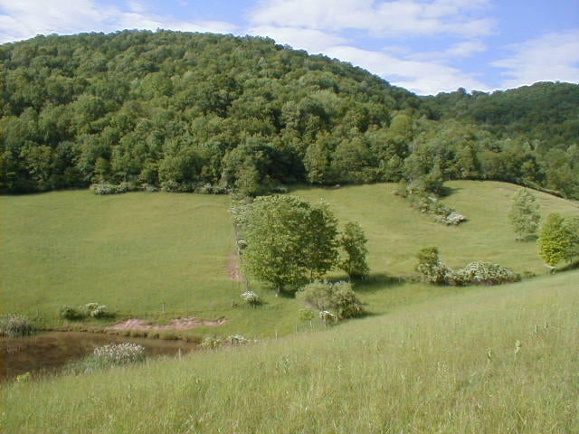 248 Somerset Farm Road Meadow Bridge, WV 25976 - Photo 96 of 98 Gallery Image 96