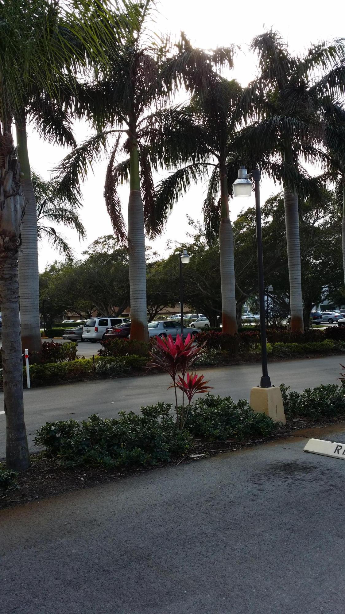 5500 Northwest 2nd Avenue, Unit 418 Boca Raton, FL 33487 - Photo 36 of 37 20160203_155220