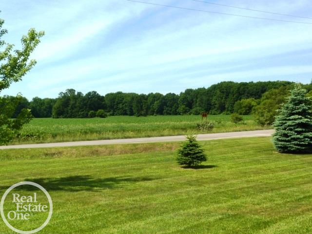 8857 Bordman Road Almont, MI 48003 - Photo 40 of 43 31294762-39.JPG
