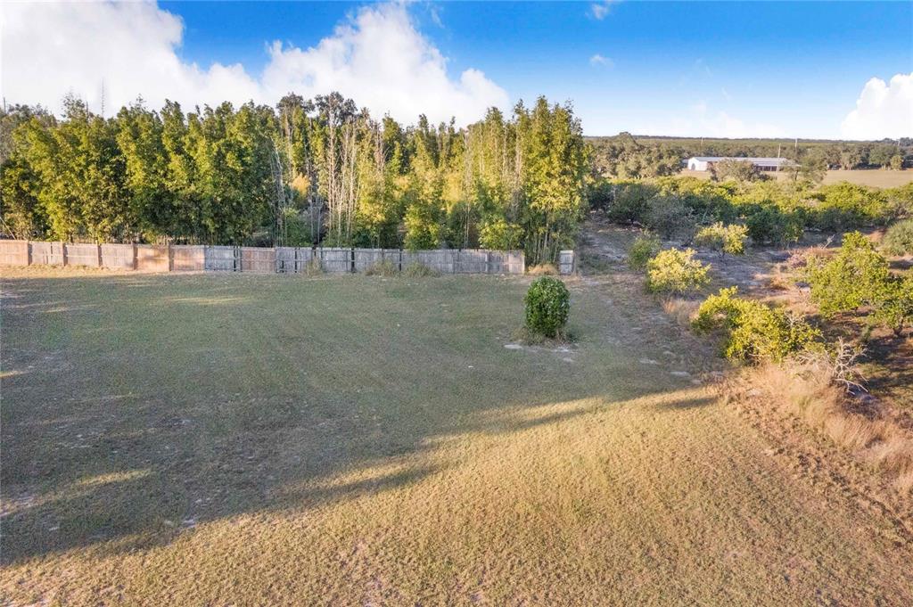 1114 H L Smith Road Haines City, FL 33844 - Photo 19 of 21 a view of a yard