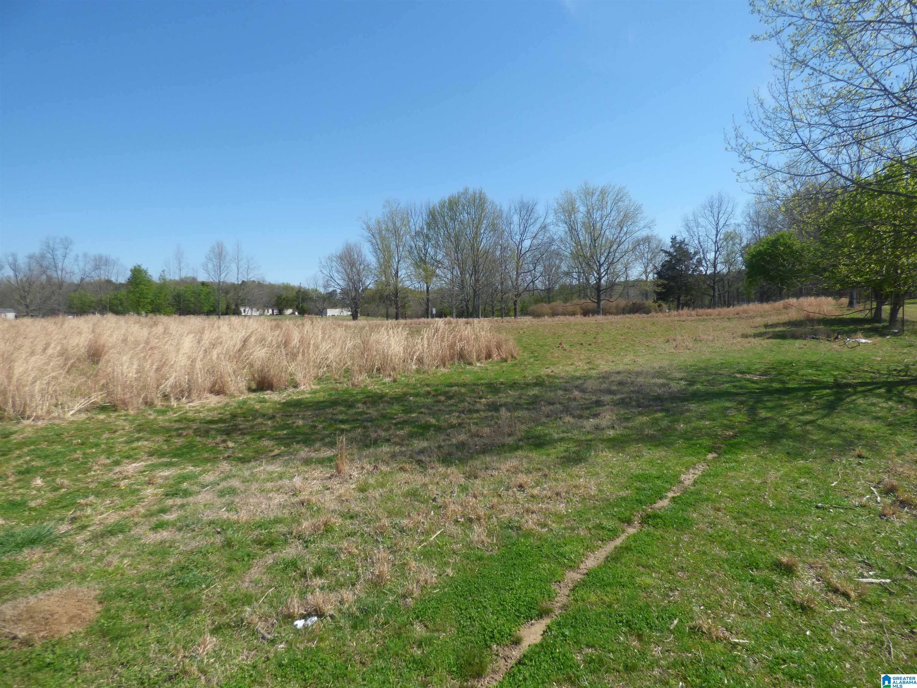 114 Haynes Road Altoona, AL 35952 - Photo 43 of 49
