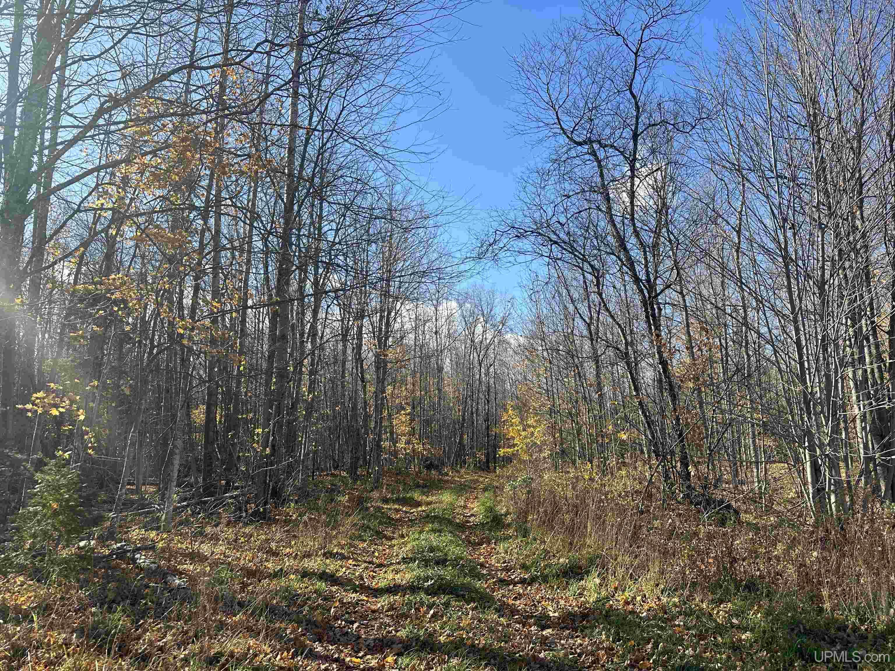 Tbd Tbd Tyner Road Chatham, MI 49816 - Photo 9 of 17