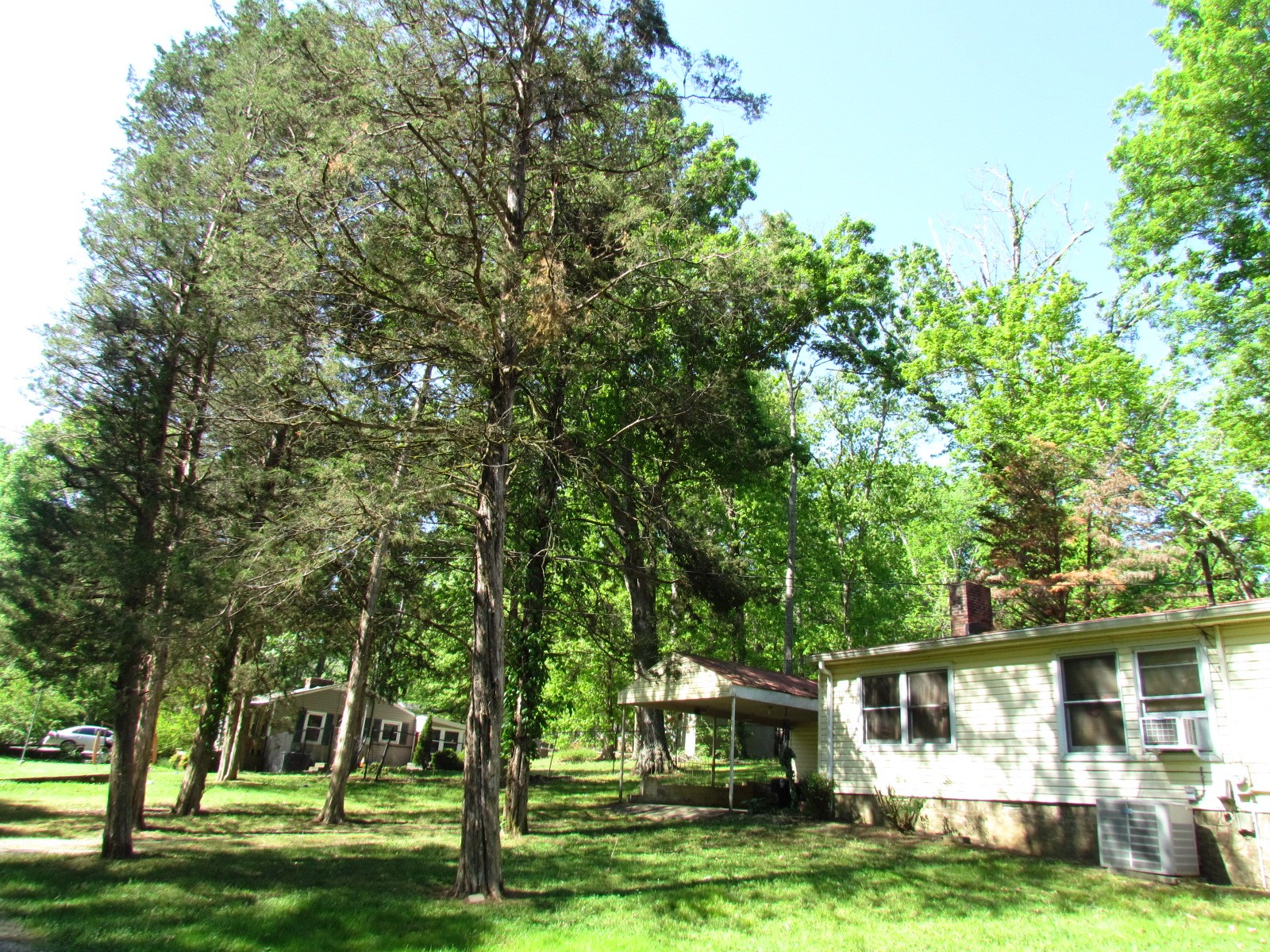 315 Davis Corner Road Mount Juliet, TN 37122 - Photo 29 of 44 Gallery Image 29