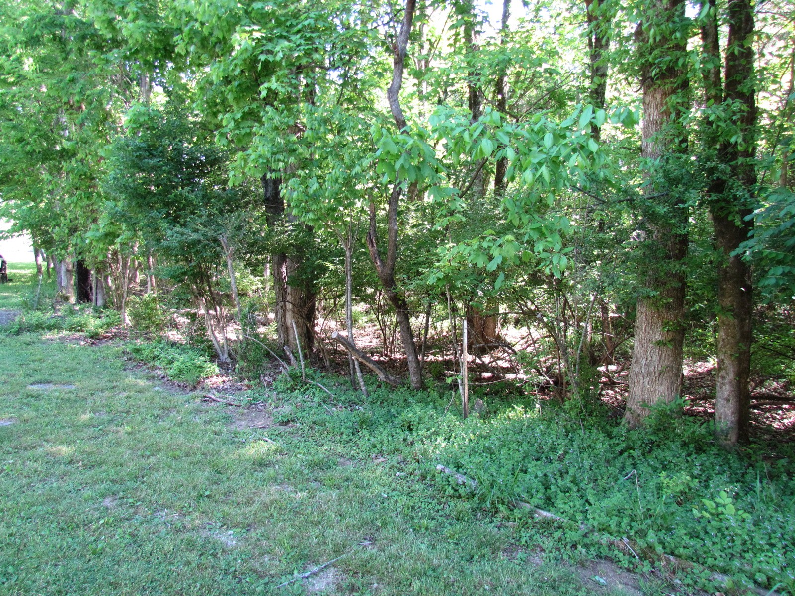 315 Davis Corner Road Mount Juliet, TN 37122 - Photo 33 of 44 Gallery Image 33