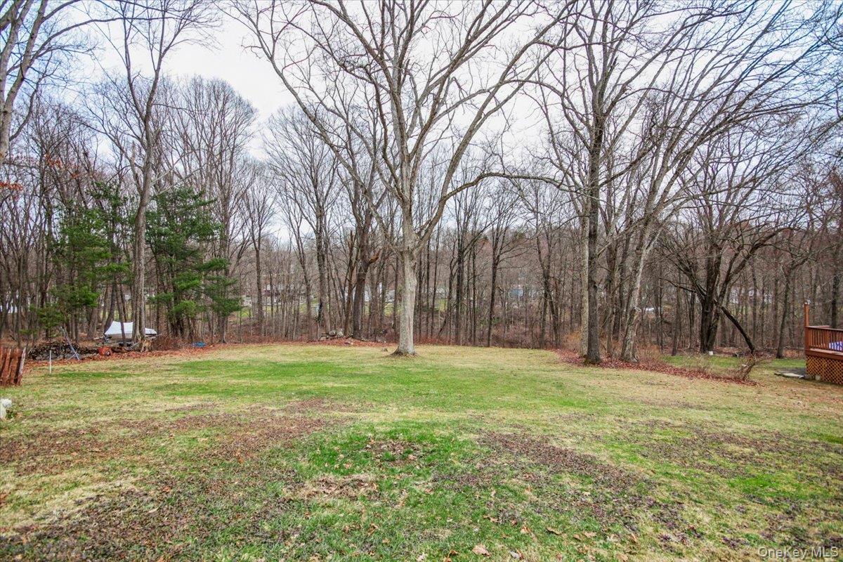 322 Lakeview Street Mahopac, NY 10541 - Photo 33 of 43