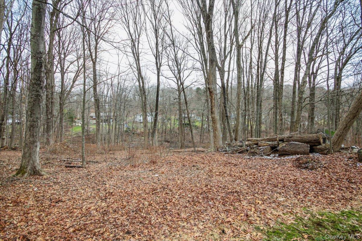 322 Lakeview Street Mahopac, NY 10541 - Photo 37 of 43