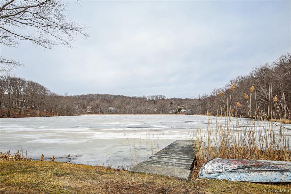 322 Lakeview Street Mahopac, NY 10541 - Photo 39 of 43