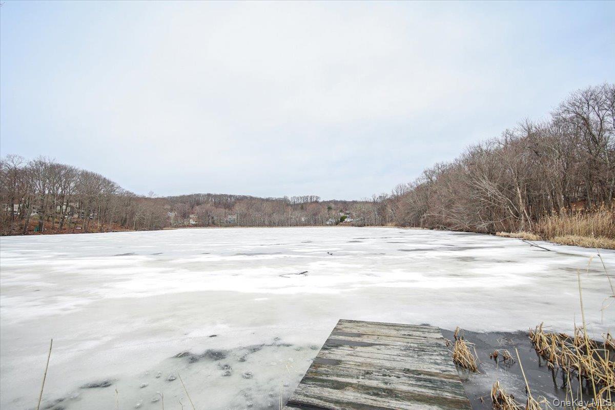 322 Lakeview Street Mahopac, NY 10541 - Photo 40 of 43