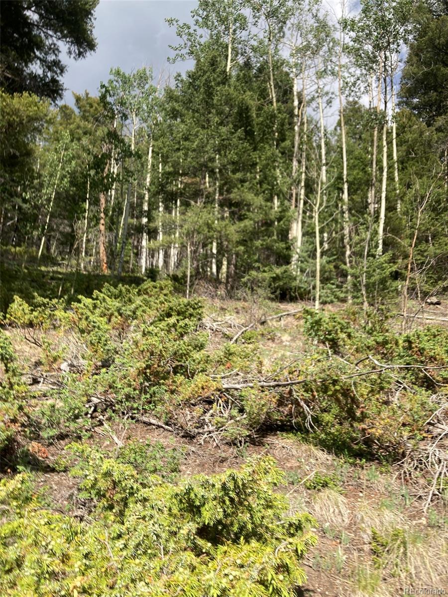 Lot 6461 Jacquez Road San Luis, CO 81152 - Photo 8 of 22