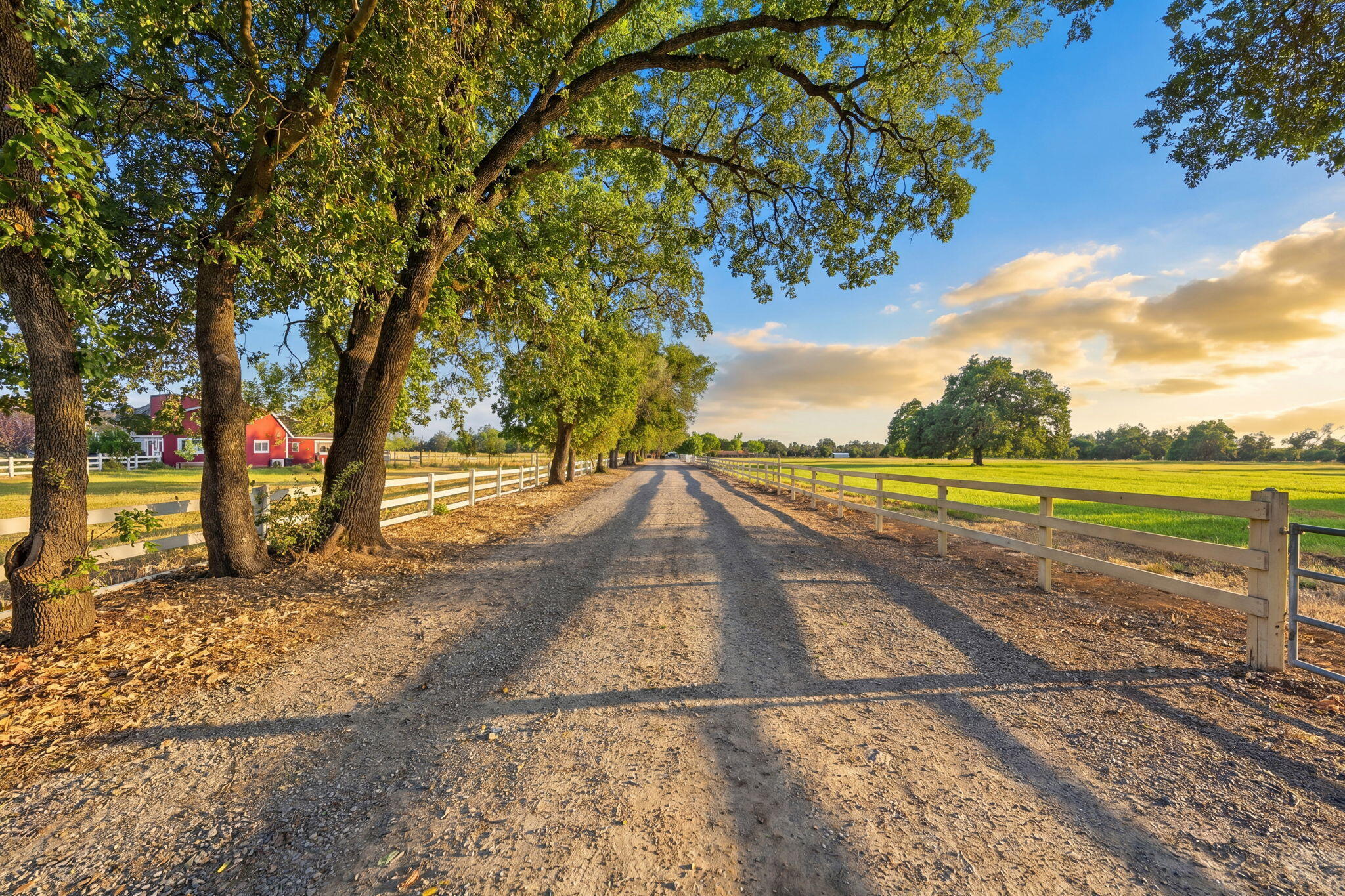 5521 Churn Creek Road Redding, CA 96002 - Photo 2 of 44 Driveway