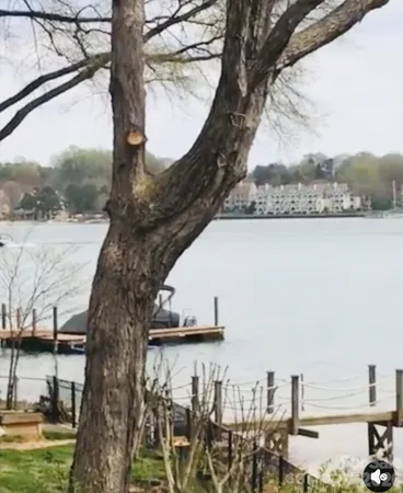 $1,395,000 | 21510 Norman Shores Drive, Cornelius, NC 28031