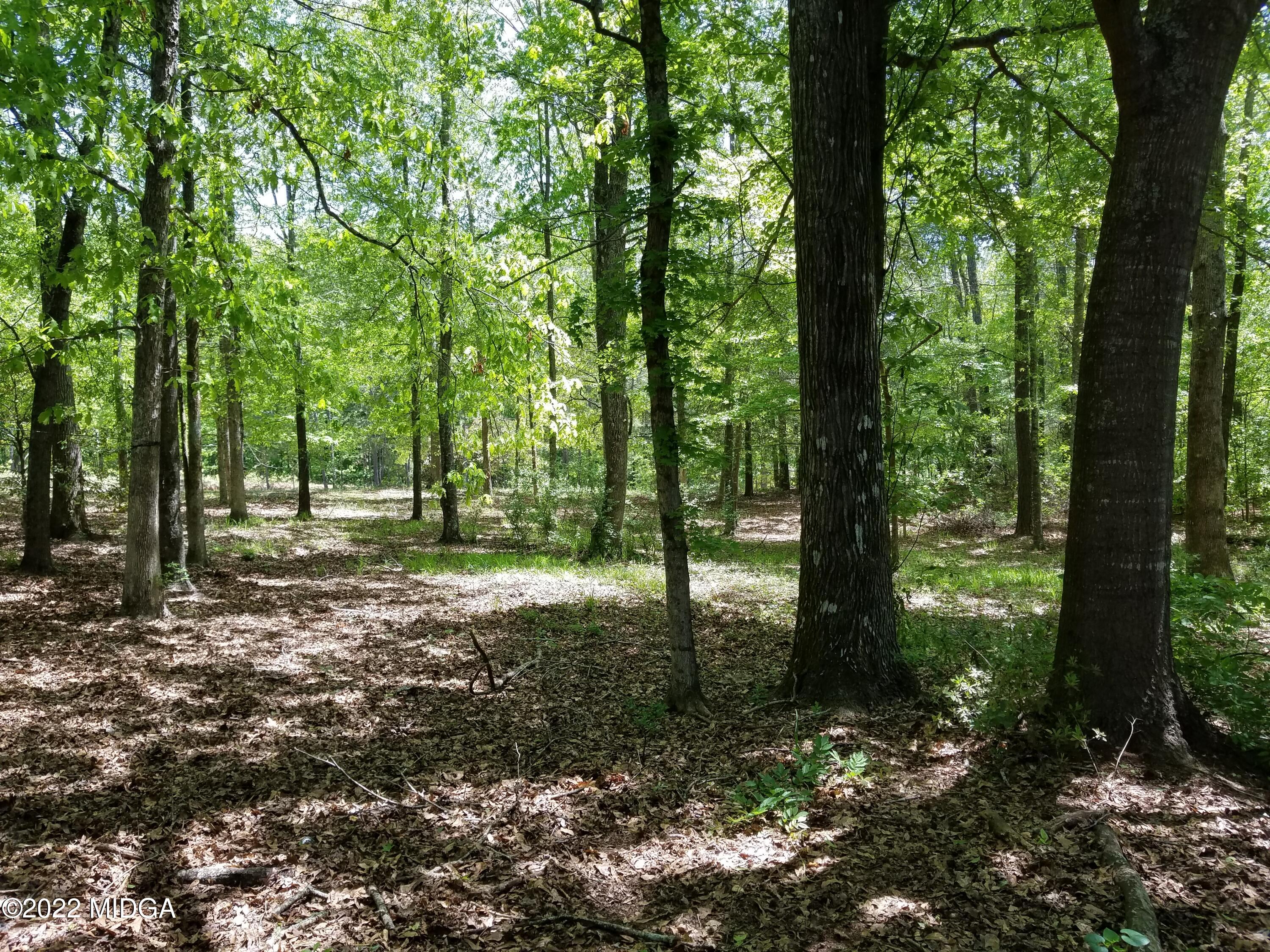 782 Lite-N-Tie Road Gray, GA 31032 - Photo 46 of 47 20220420_130215
