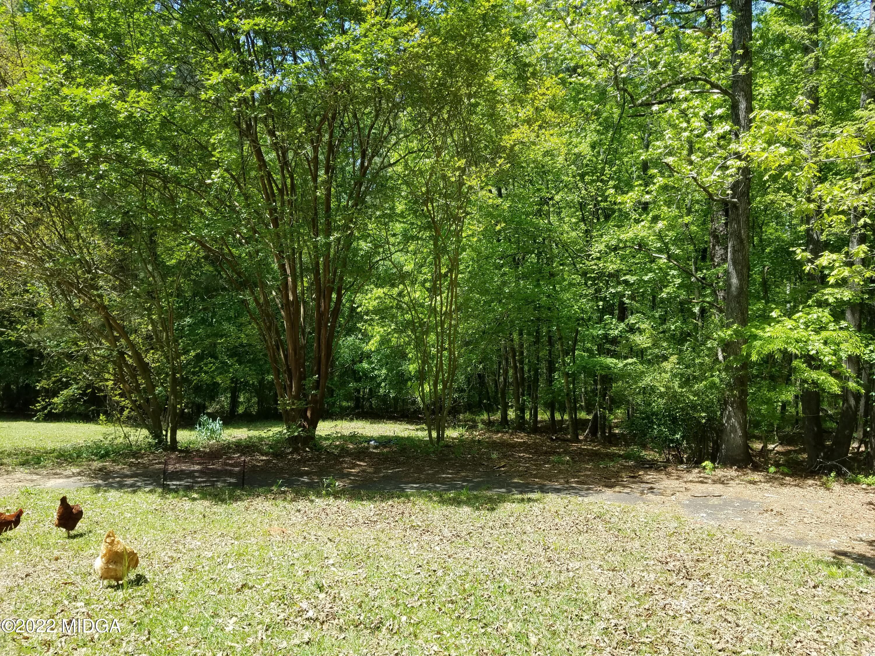 782 Lite-N-Tie Road Gray, GA 31032 - Photo 47 of 47 20220420_125922