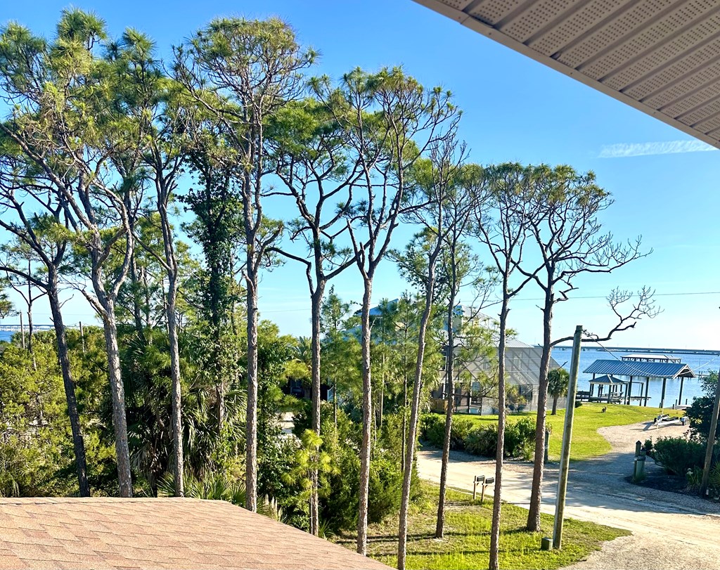 328 Bruce Street St. George Island, FL 32328 - Photo 3 of 76