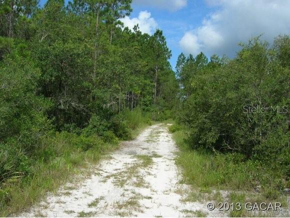 0 Southwest County Road Cedar Key, FL 32625 - Photo 1 of 1