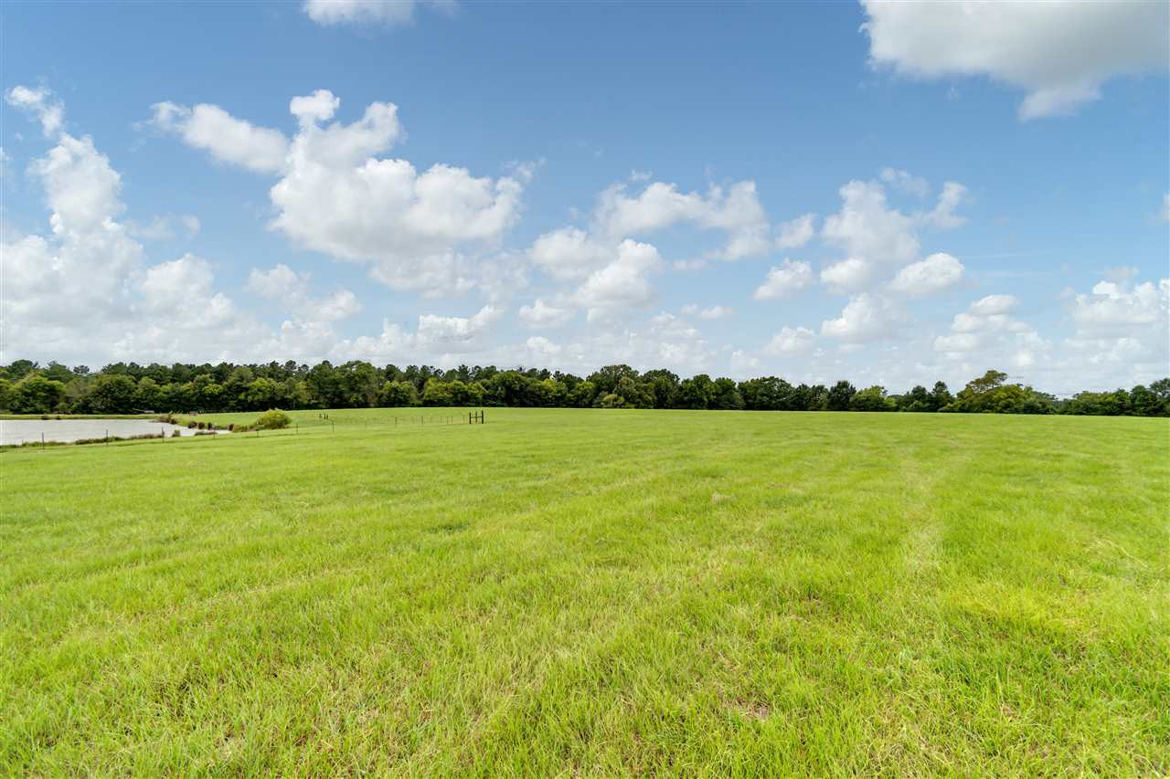 0 Cedar Hill Road, Unit PARCEL 3 Flora, MS 39071 - Photo 4 of 10 Photo 4