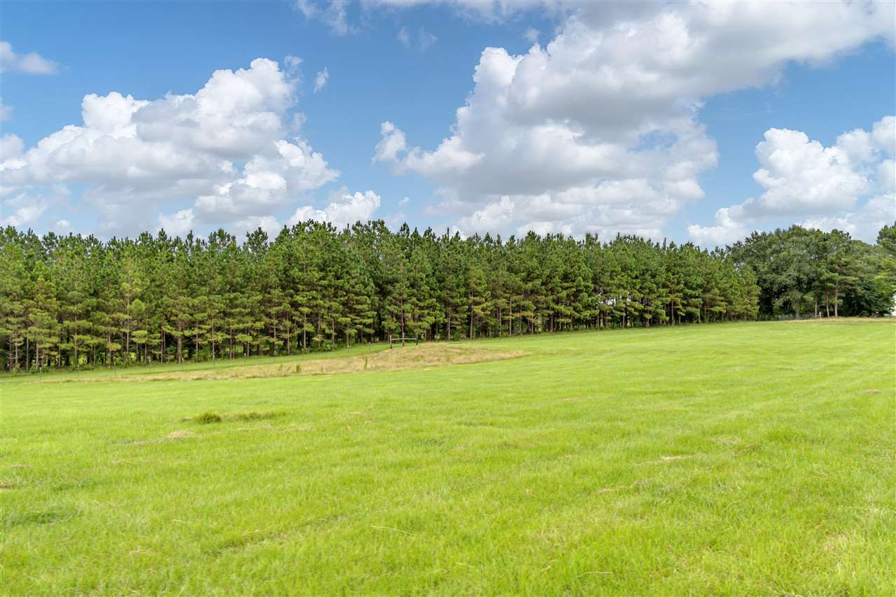 0 Cedar Hill Road, Unit PARCEL 3 Flora, MS 39071 - Photo 5 of 10 Photo 5