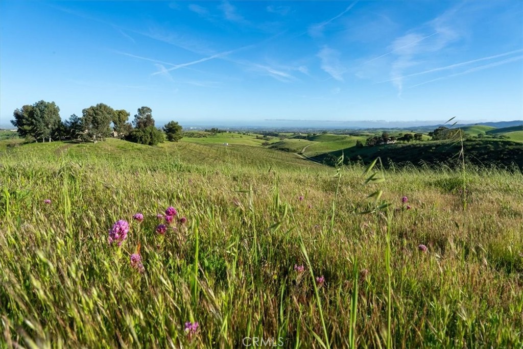 1730 Sutliff Road San Miguel, CA 93451 - Photo 33 of 57 a view of a lake with a yard
