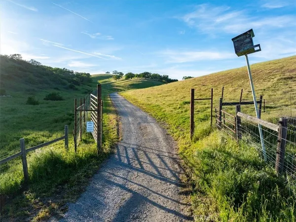 a view of a ocean with a big yard and potted plants
