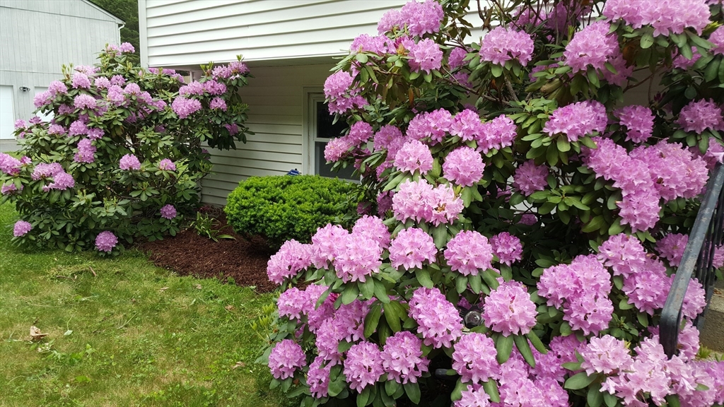 48 Badger Road Framingham, MA 01702 - Photo 38 of 42