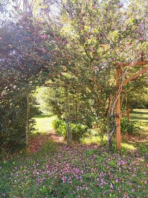 69465 16th Section Road Pearl River, LA 70452 - Photo 27 of 27 Gallery Image 27