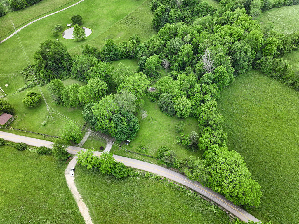 6745 Fords Mill Road Versailles, KY 40383 - Photo 8 of 47 DJI_20240521144759_0421_D