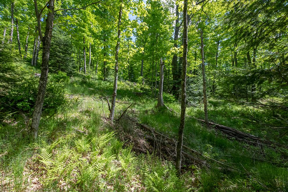 4580 Coveyville Road Phelps, WI 54554 - Photo 23 of 35 Gallery Image 23