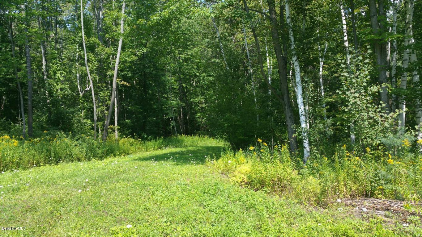 Reservoir Road North Adams, MA 01247 - Photo 2 of 4 a view of backyard
