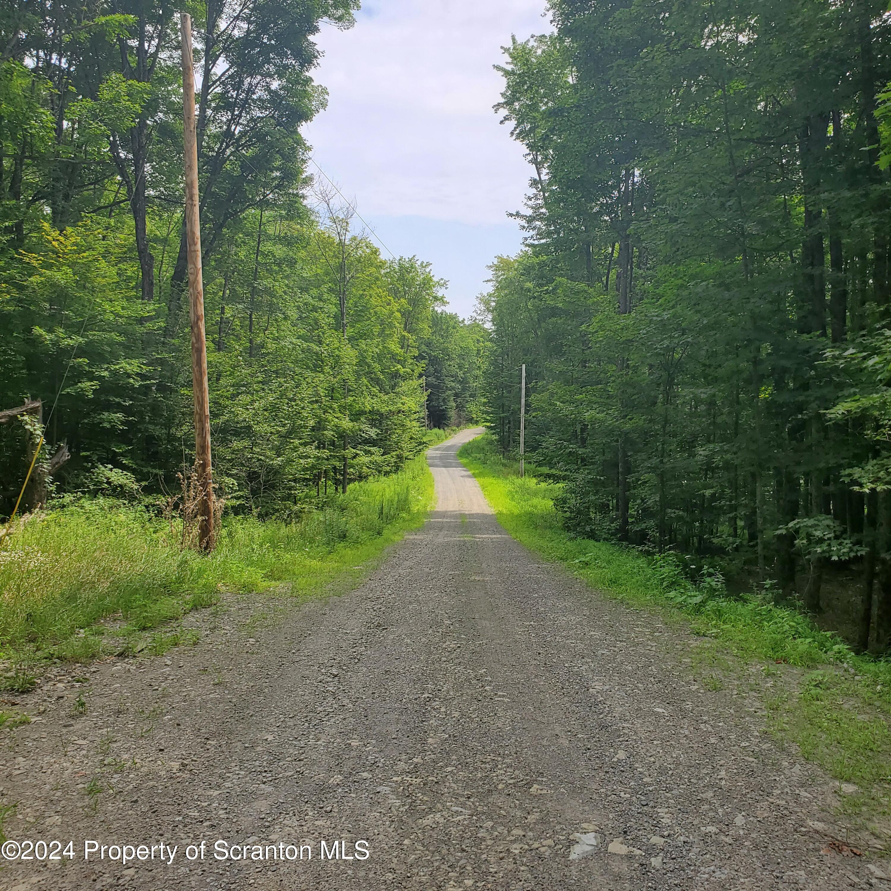 Cabin Hill Road West Hallstead, PA 18822 - Photo 11 of 13 Gallery Image 11