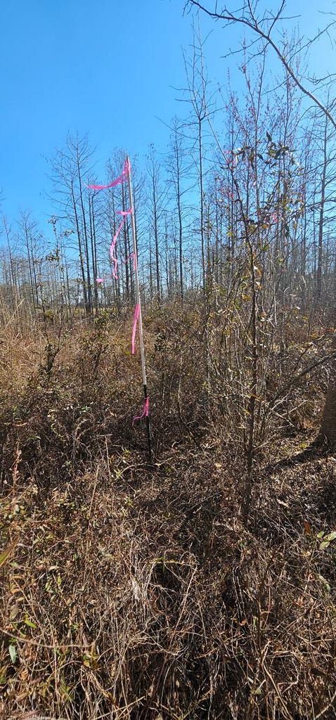 4.9-acres Grady Garner Road Slocomb, AL 36375 - Photo 23 of 70