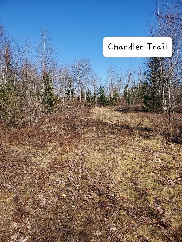 0 Meadow Road Addison, ME 04606 - Photo 21 of 36 Chandler Trail