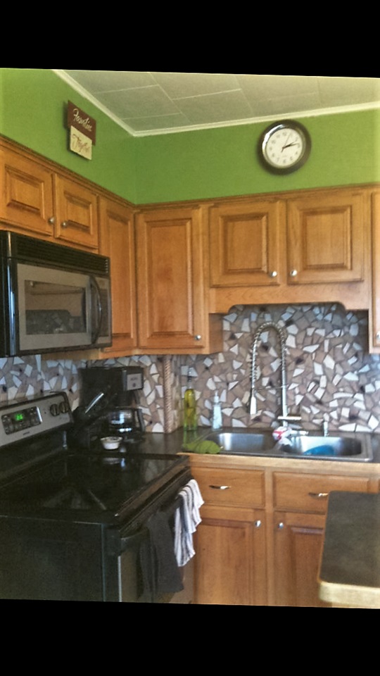 219 East Meyering Road Marion, MI 49665 - Photo 5 of 32 1814639-4.JPG