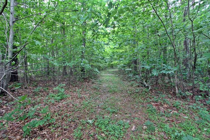 0 Shivas Crest, Unit LOT 70B Rising Fawn, GA 30738 - Photo 6 of 14 Shivas Crest Lot 70BIMG_0067