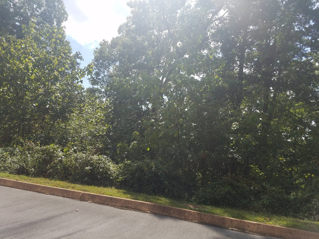 Lot 23 Aidans Trail, Unit 23 Rutledge, TN 37861 - Photo 8 of 36 Photo 8