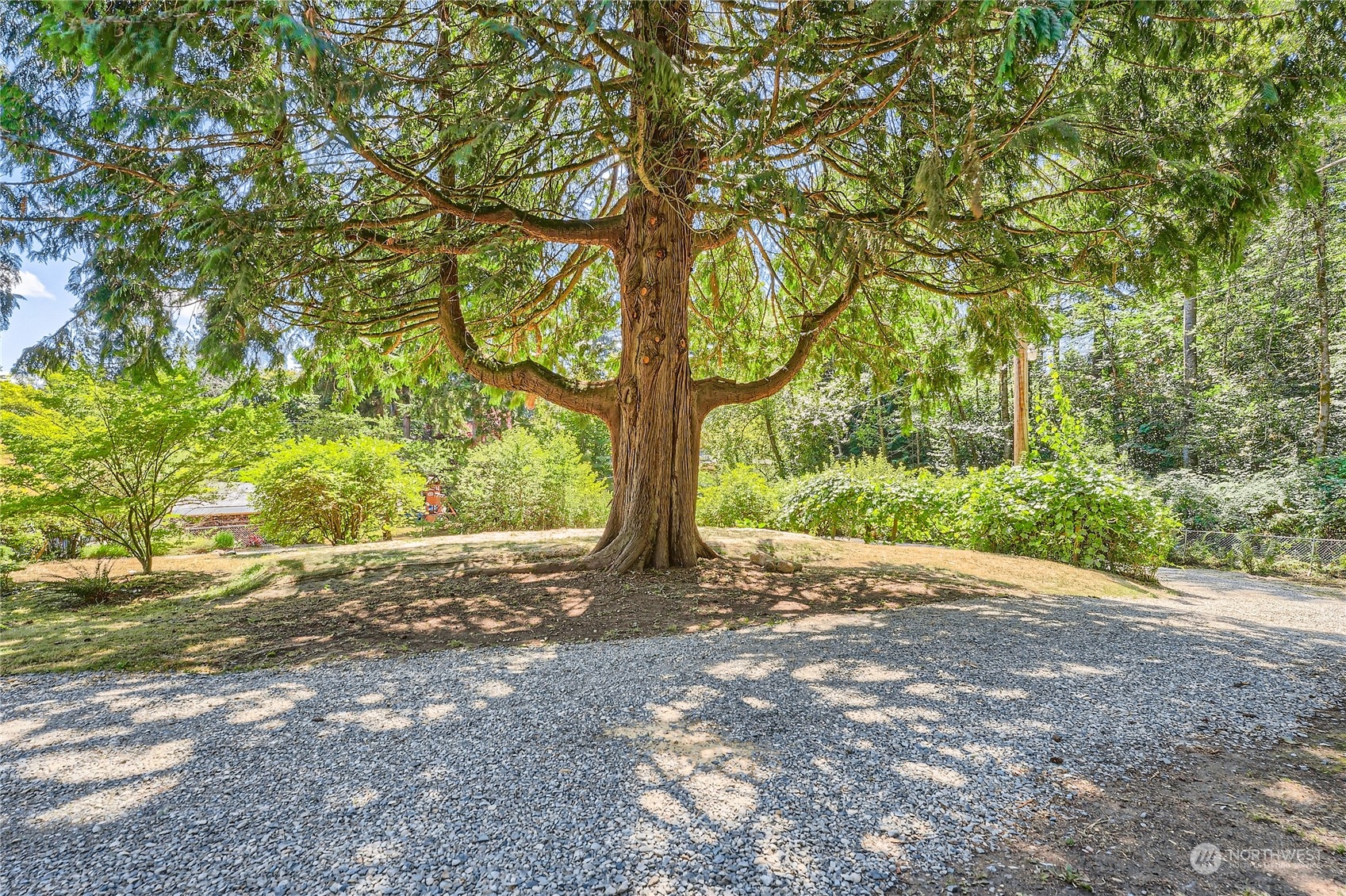 18045 120th Avenue Southeast Renton, WA 98058 - Photo 23 of 23 a view of a tree in front of a yard