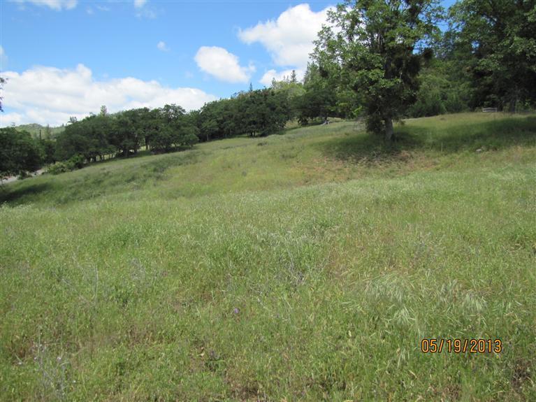 0 Mcdonogh Road Gold Hill, OR 97525 - Photo 6 of 7 great view on one of the hilsides