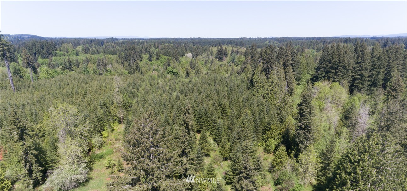 -tbd Rhoades Road Winlock, WA 98596 - Photo 2 of 4