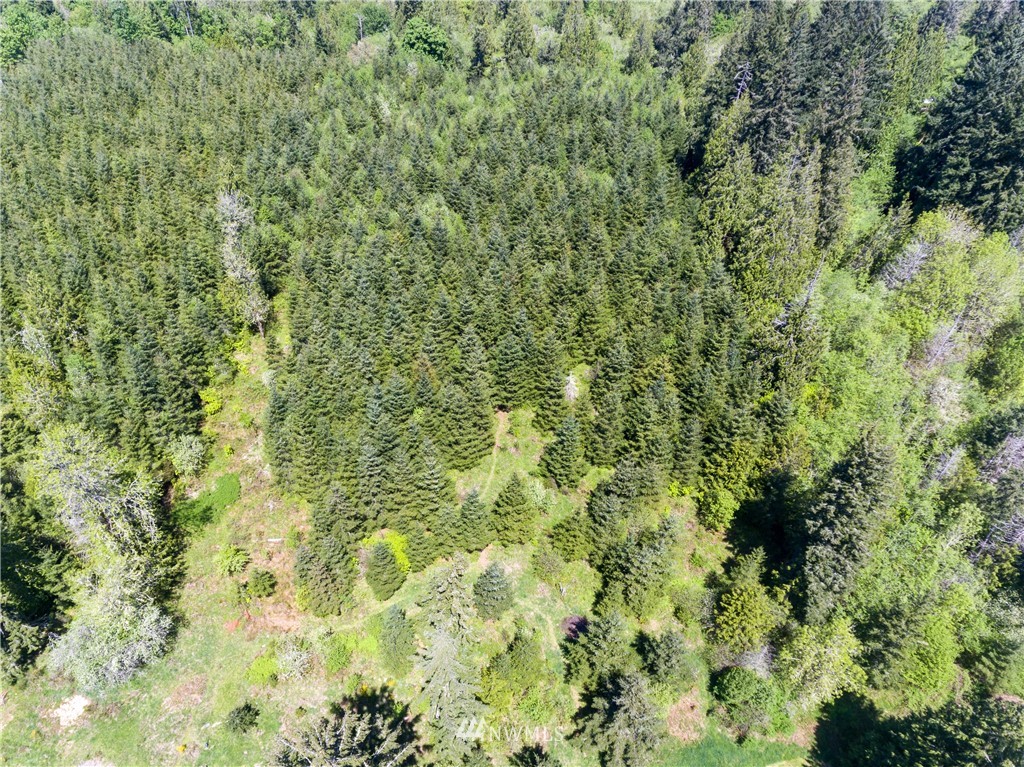 -tbd Rhoades Road Winlock, WA 98596 - Photo 3 of 4