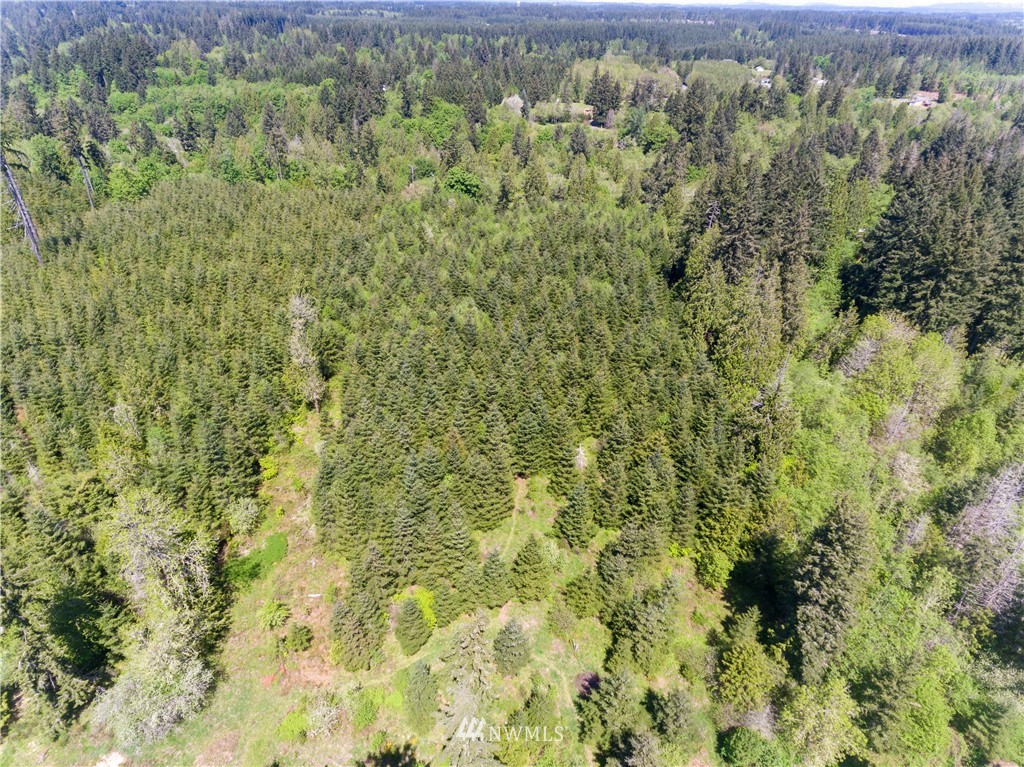 -tbd Rhoades Road Winlock, WA 98596 - Photo 4 of 4