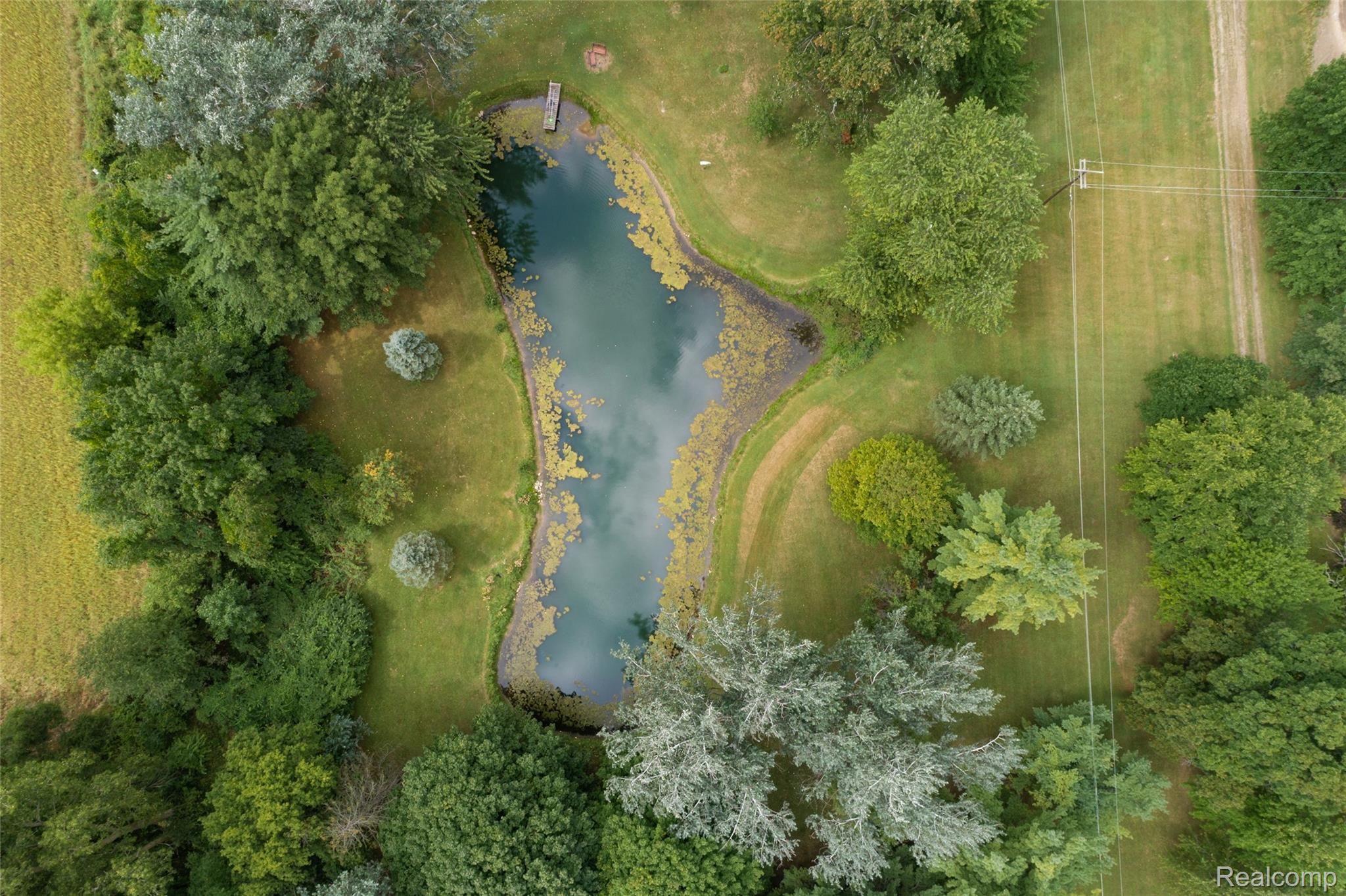 5603 Preston Road Howell, MI 48855 - Photo 48 of 52 DJI_0375.jpg