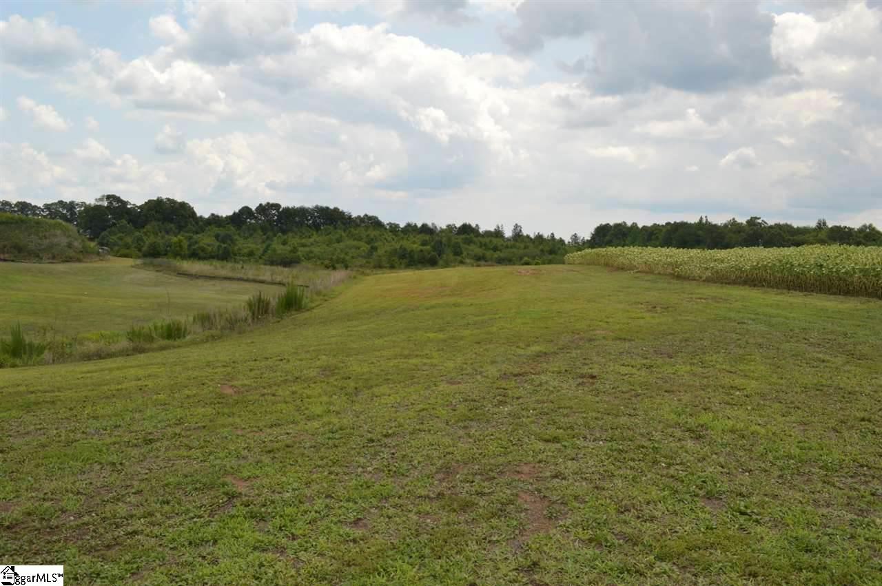 Welpine Road Pendleton, SC 29670 - Photo 1 of 24