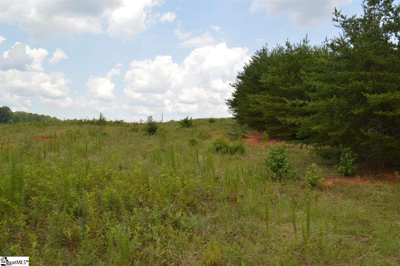 Welpine Road Pendleton, SC 29670 - Photo 3 of 24