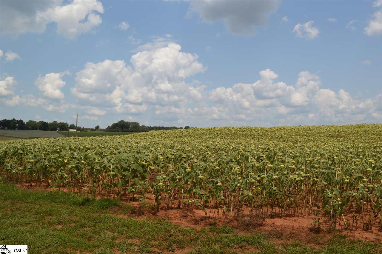 Welpine Road Pendleton, SC 29670 - Photo 4 of 24