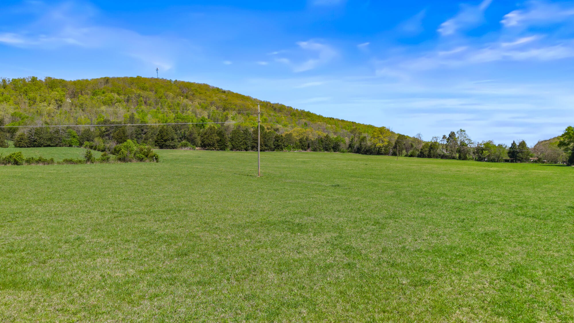 0 Dogtown Road Ten Mile, TN 37880 - Photo 5 of 9
