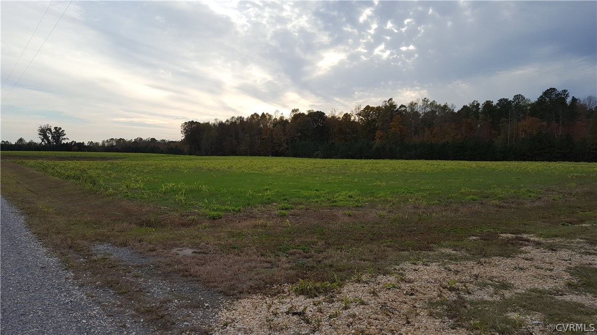 Tbd Tbd Banks Town Road Walkerton, VA 23177 - Photo 3 of 12 Gallery Image 3