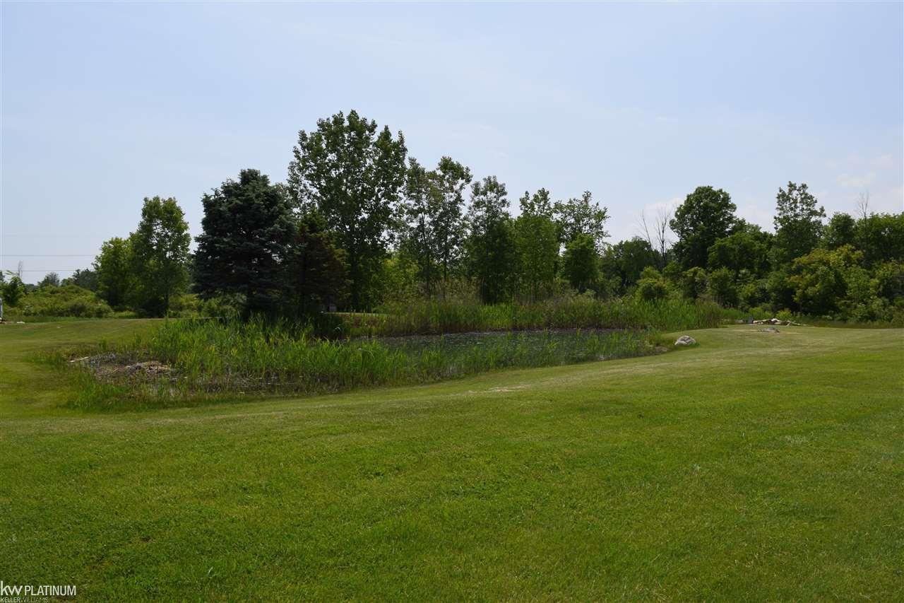 8833 Meisner Road Casco, MI 48064 - Photo 20 of 29 31350004-19.JPG