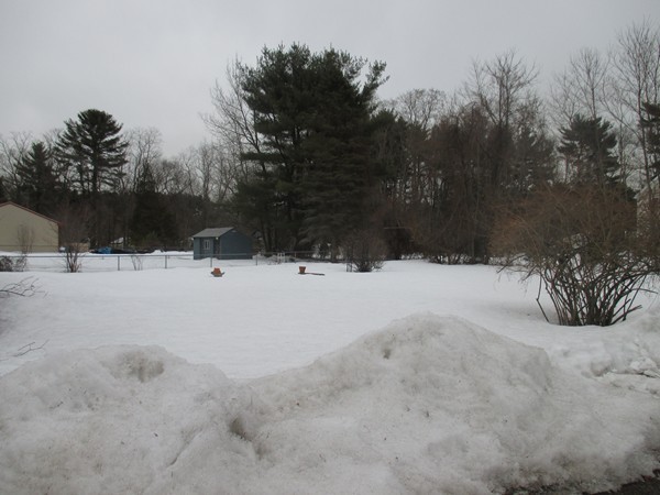 233 Andover Road Billerica, MA 01821 - Photo 12 of 18